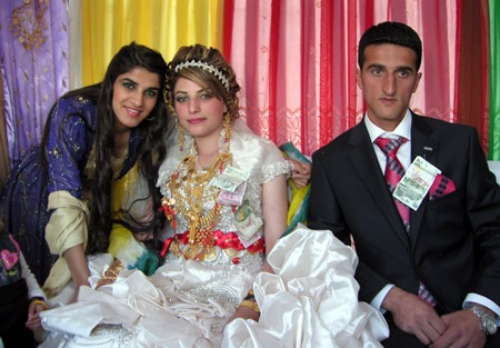 Yüksekova Düğünleri 07.11.2010 177