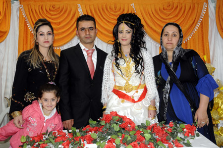 Yüksekova Düğünleri 07.11.2010 50