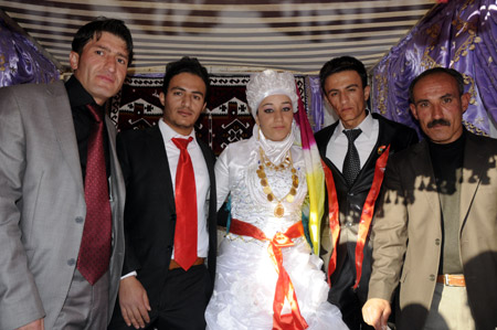 Yüksekova Düğünleri 07.11.2010 66