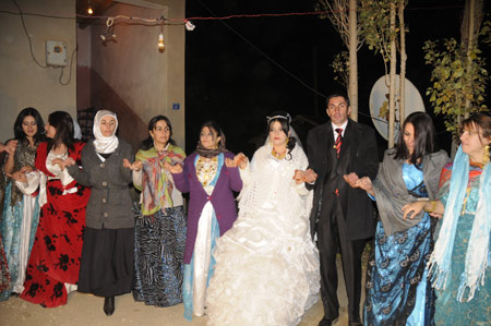 Yüksekova  Düğünleri 14  Kasım 2010 49