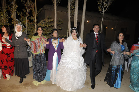 Yüksekova  Düğünleri 14  Kasım 2010 52