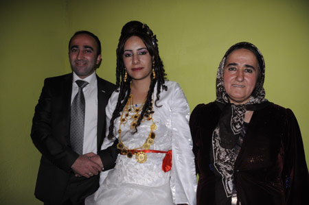 Yüksekova  Düğünleri 14  Kasım 2010 62
