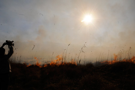 Yüksekova'da yangın: Nehil sazlığı kül oldu 10