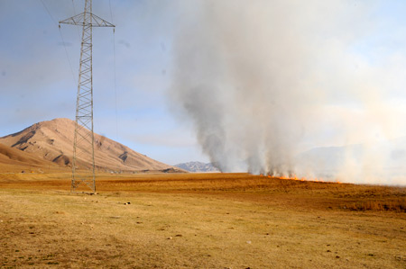 Yüksekova'da yangın: Nehil sazlığı kül oldu 15