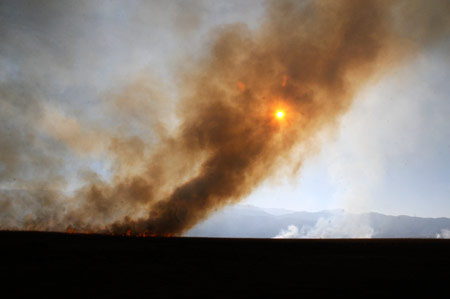 Yüksekova'da yangın: Nehil sazlığı kül oldu 3