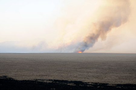 Yüksekova'da yangın: Nehil sazlığı kül oldu 32