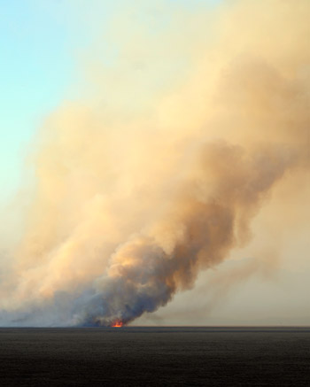 Yüksekova'da yangın: Nehil sazlığı kül oldu 33