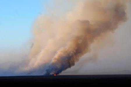 Yüksekova'da yangın: Nehil sazlığı kül oldu 34