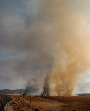Yüksekova'da yangın: Nehil sazlığı kül oldu 38