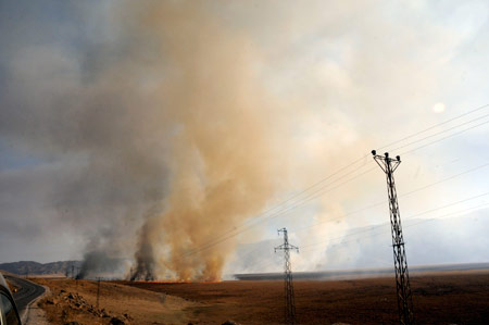 Yüksekova'da yangın: Nehil sazlığı kül oldu 4