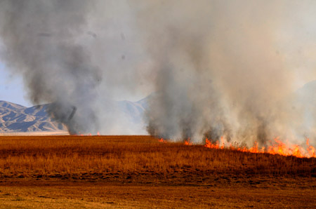 Yüksekova'da yangın: Nehil sazlığı kül oldu 40