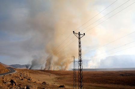 Yüksekova'da yangın: Nehil sazlığı kül oldu 5
