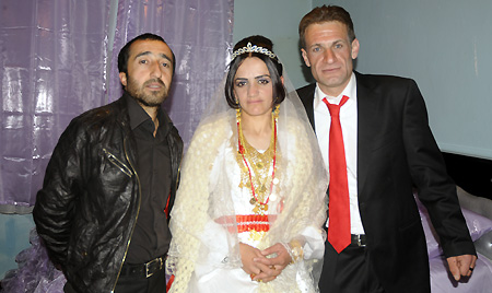 Yüksekova Düğünleri - Foto Galeri - 21-11-2010 100