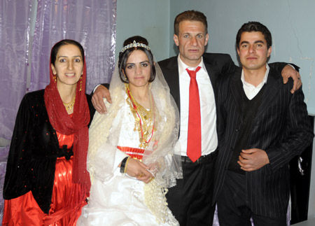 Yüksekova Düğünleri - Foto Galeri - 21-11-2010 103