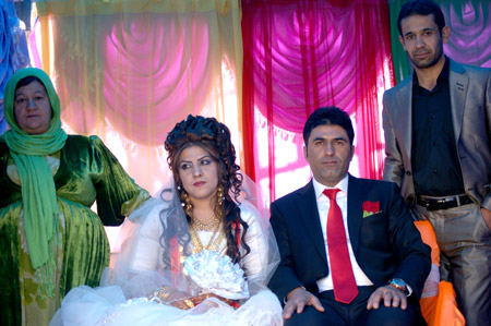 Yüksekova Düğünleri - Foto Galeri - 21-11-2010 151