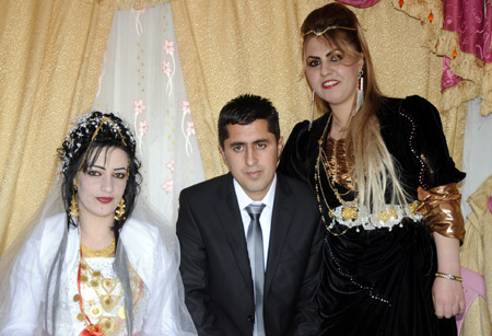 Yüksekova Düğünleri - Foto Galeri - 21-11-2010 16