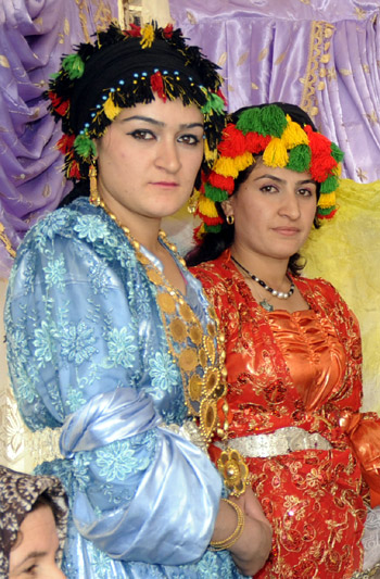Yüksekova Düğünleri - Foto Galeri - 21-11-2010 32