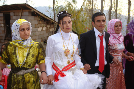 Yüksekova ve Şemdinli Düğünleri 29.11.2010 118
