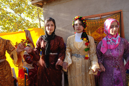 Yüksekova ve Şemdinli Düğünleri 29.11.2010 128