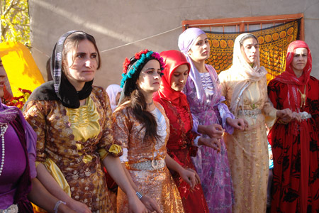 Yüksekova ve Şemdinli Düğünleri 29.11.2010 132
