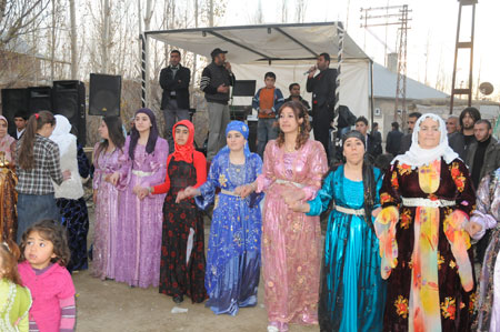 Yüksekova ve Şemdinli Düğünleri 29.11.2010 24