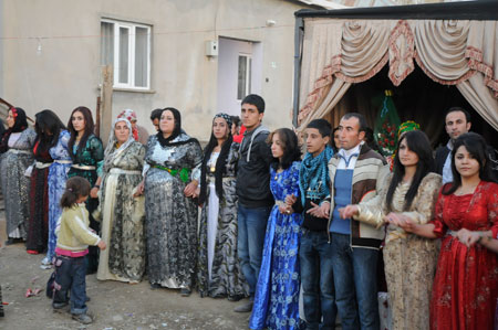Yüksekova ve Şemdinli Düğünleri 29.11.2010 27