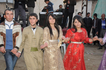 Yüksekova ve Şemdinli Düğünleri 29.11.2010 31