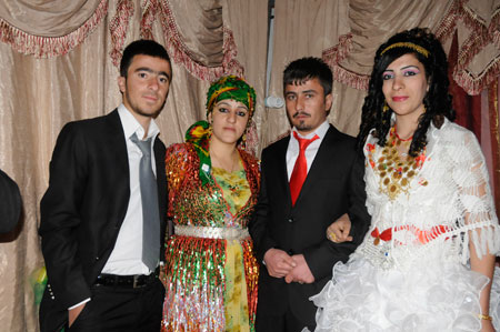Yüksekova ve Şemdinli Düğünleri 29.11.2010 38
