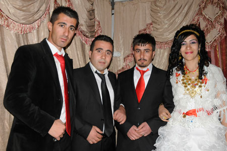 Yüksekova ve Şemdinli Düğünleri 29.11.2010 39