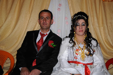 Yüksekova ve Şemdinli Düğünleri 29.11.2010 5