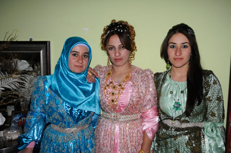 Yüksekova ve Şemdinli Düğünleri 29.11.2010 57