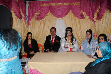 Yüksekova ve Şemdinli Düğünleri 29.11.2010 77