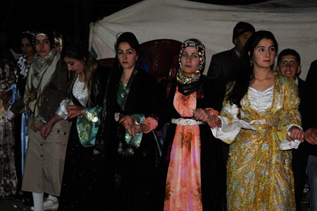 Yüksekova ve Şemdinli Düğünleri 29.11.2010 86