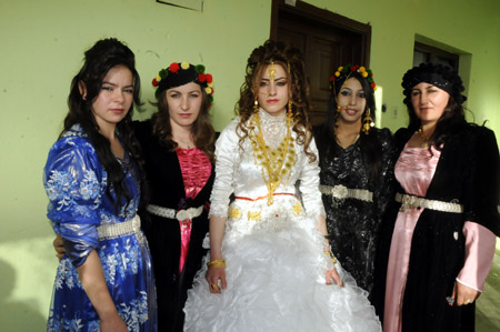 Yüksekova Düğünleri 06.12.2010 15