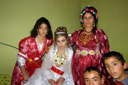 Yüksekova Düğünleri 26.12.2010 126