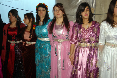 Yüksekova Düğünleri 26.12.2010 25