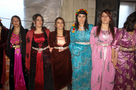 Yüksekova Düğünleri 26.12.2010 28