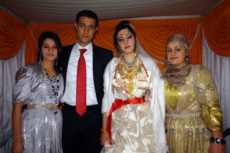 Yüksekova Düğünleri 26.12.2010 54