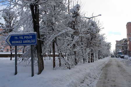 Yüksekova kar altında 26