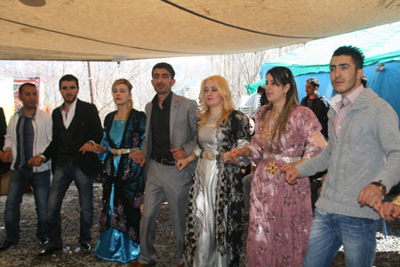 Hakkari'den değişik mahallelerde 3 ayrı düğünün fotoğrafları 2011 26