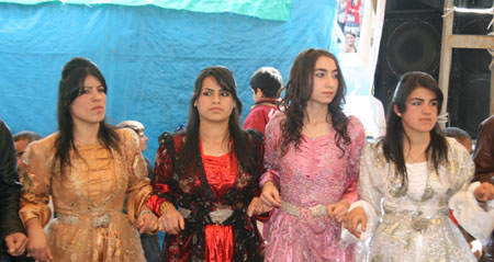 Hakkari'den değişik mahallelerde 3 ayrı düğünün fotoğrafları 2011 5