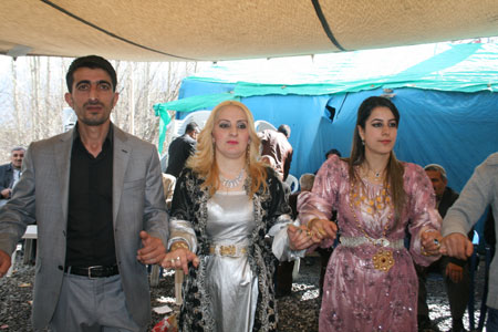 Hakkari'den değişik mahallelerde 3 ayrı düğünün fotoğrafları 2011 6