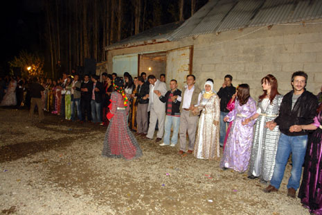 Yüksekova düğünleri - Foto - (8 Kasım 2009) 21