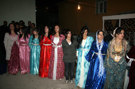 Yüksekova düğünleri - Foto - (8 Kasım 2009) 63