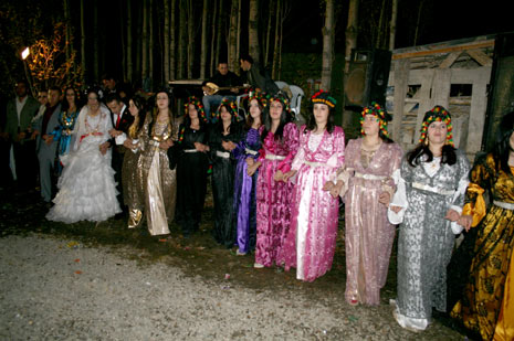 Yüksekova düğünleri - Foto - (8 Kasım 2009) 90