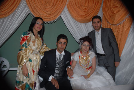 Yüksekova Düğünleri (5 Haziran 2011) 115