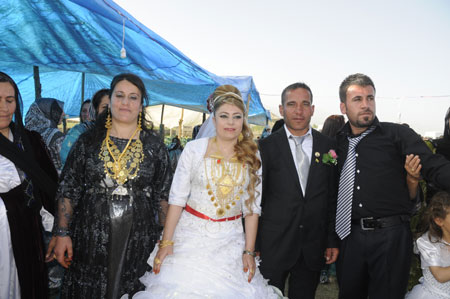 Yüksekova Düğünleri (5 Haziran 2011) 168