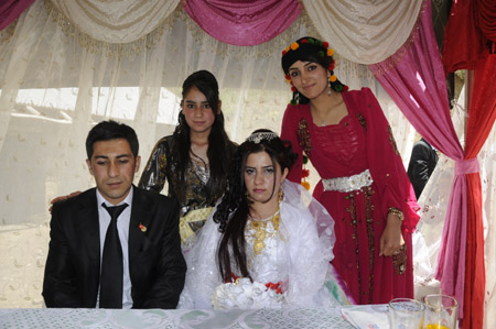 Yüksekova Düğünleri (5 Haziran 2011) 189
