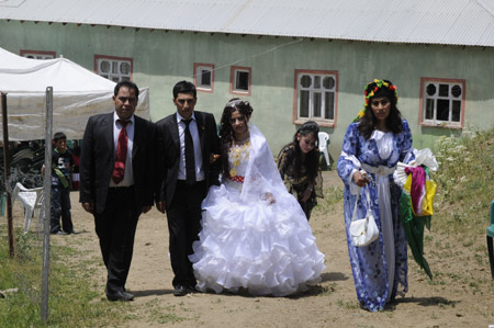 Yüksekova Düğünleri (5 Haziran 2011) 191