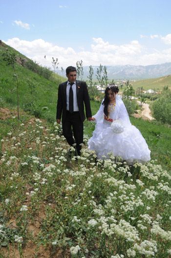 Yüksekova Düğünleri (5 Haziran 2011) 193